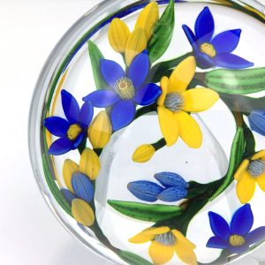 Stars of the Northern Sky Pwt by Colin Richardson